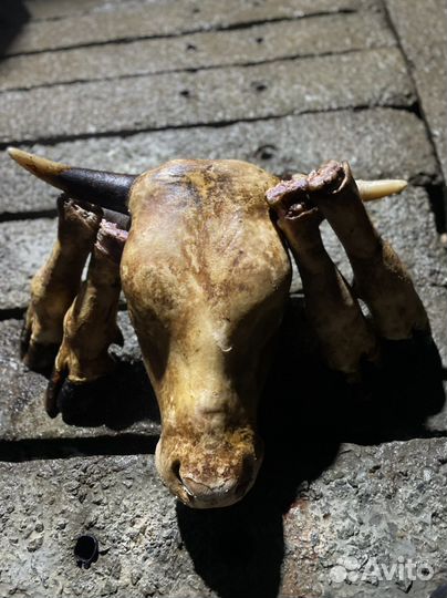 Говяжьи головы, ноги, наборы на холодец