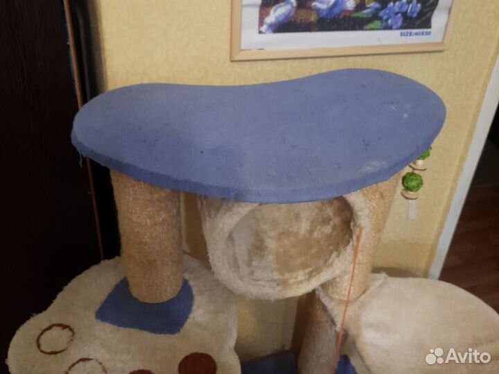 Кошачий домик б.у