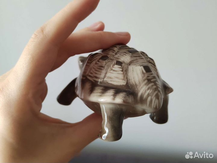 Черепаха из фарфора ищет дом