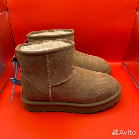 Зимние угги Ugg Classic Ultra Mini (36)