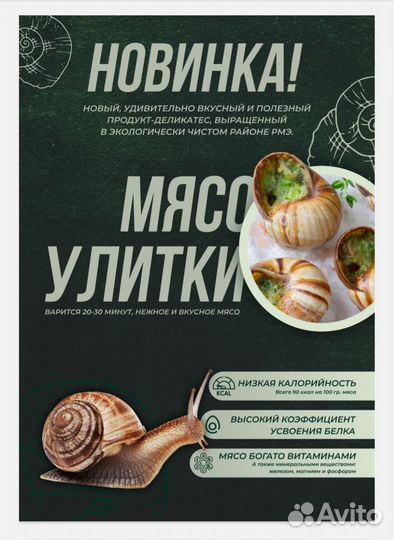 Улитка