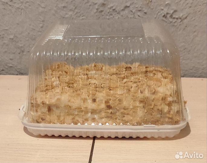 Наполеон домашний