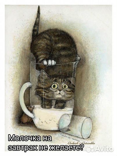 Домашние животные кошки