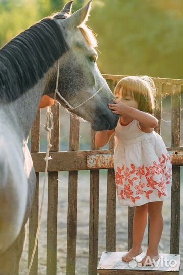 Конные прогулки