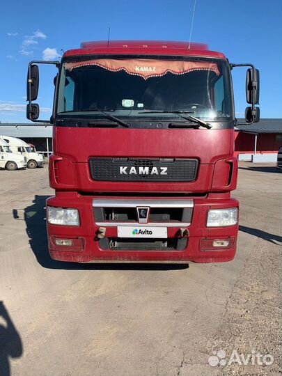 КамАЗ 65206-T5, 2019