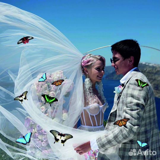 Салют из Живых Тропических Бабочек с/б-9