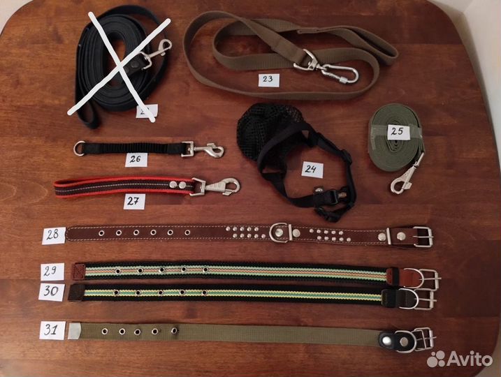 Амуниция для собак