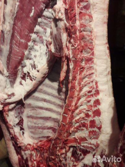 Мясо свинина