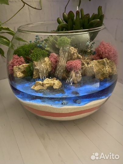 Флорариум со светящимся водоемом и суккулентами