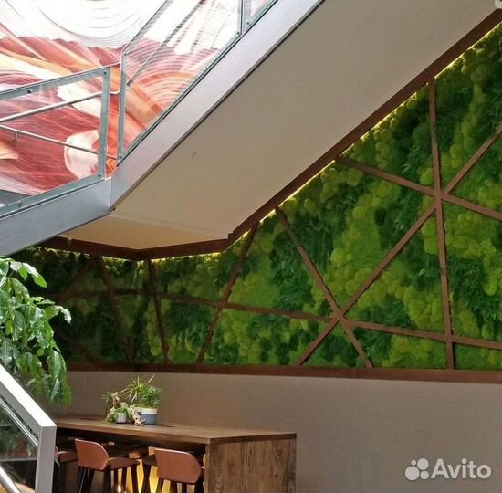 Мох стабилизированный ягель панно из мха фитокарти