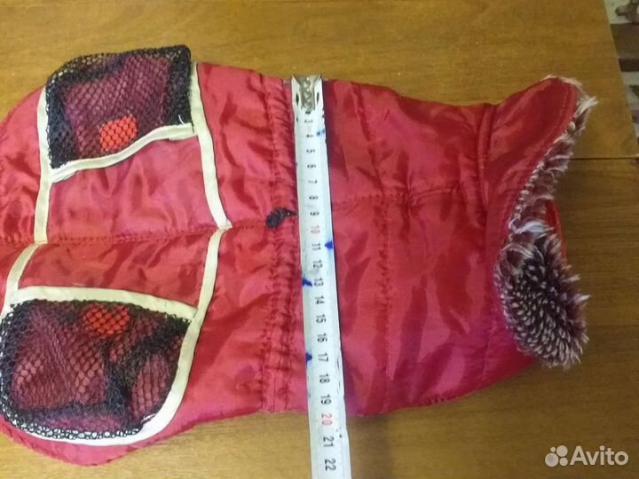 Снаряжение для маленькой собачки