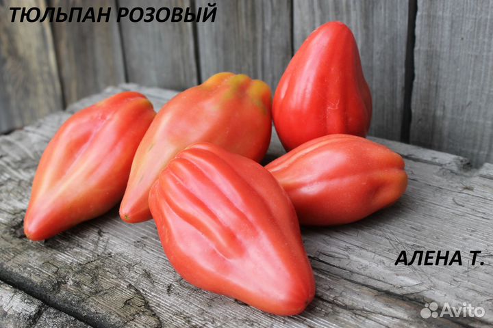 Семена редких видов томатов, отправка почтой