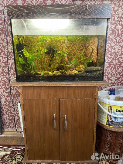 Аквариум