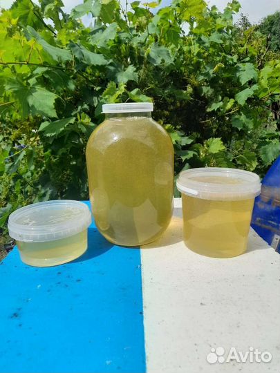 Мёд Акация 2023 год