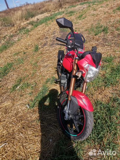 Nf 250 6b 250 кубов