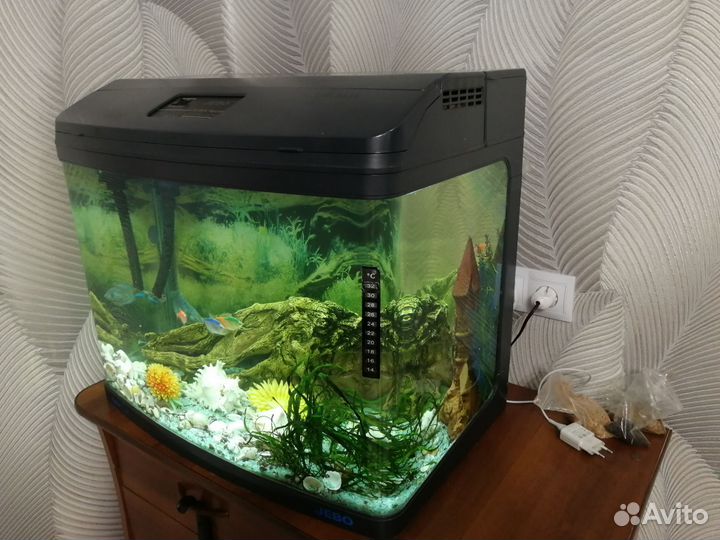 Аквариум с рыбками