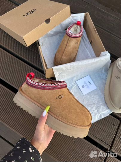 Ugg tazz tasman