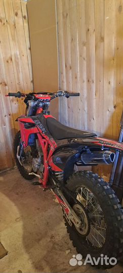 BSE z11