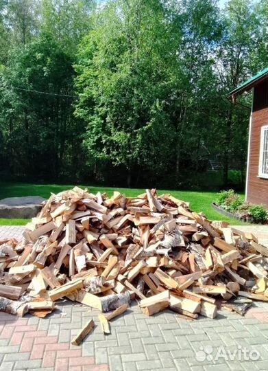 Дрова Береза