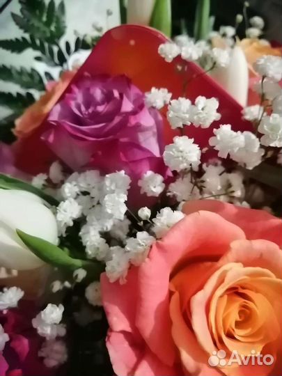 Детские вещи для девочек