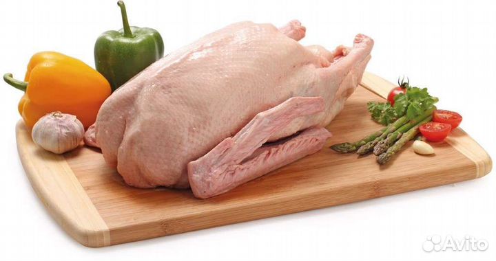 Гусь домашний мясо