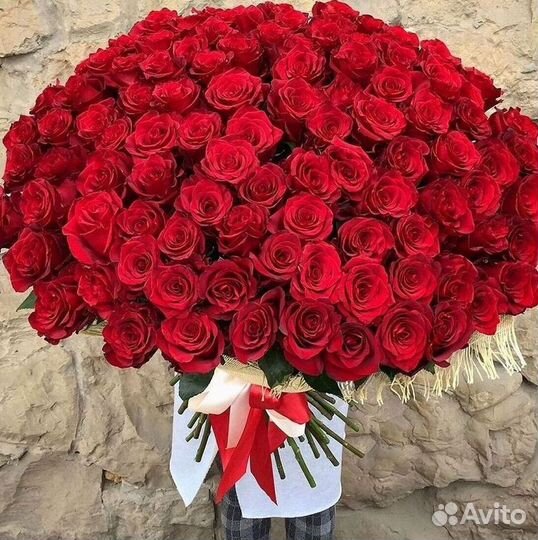 Высокие розы Гигантские розы 110