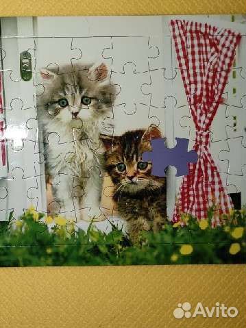 Книга Пазл Кошки и котята