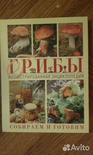 Энциклопедия