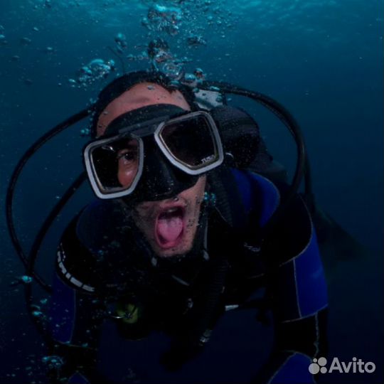 Дайвинг- трансфер бесплатно