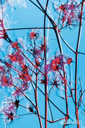 Итальянская картина Cielo Azzuro. Фактурная штукат