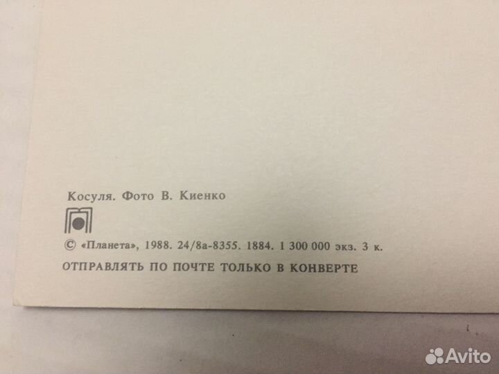 Открытки животные времён СССР