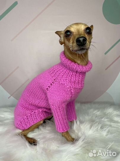 Вяжу одежду на собак и кошек