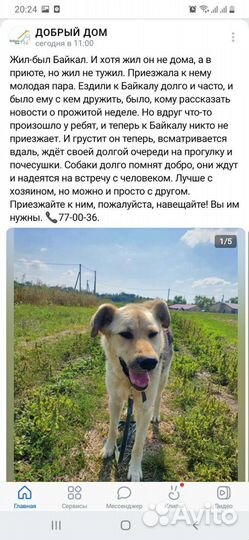 Парень в приюте