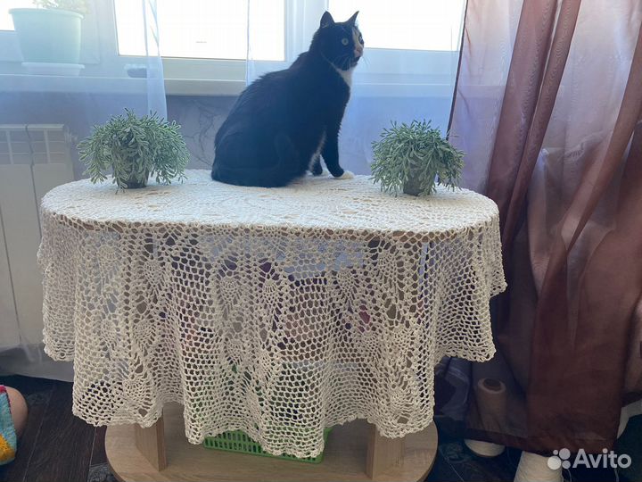 Скатерть круглая вязаная