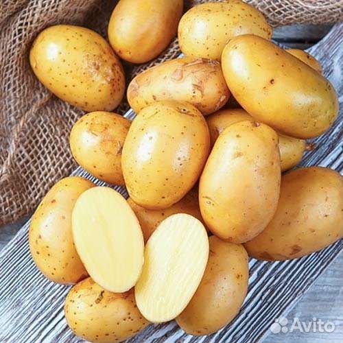 Продам картофель