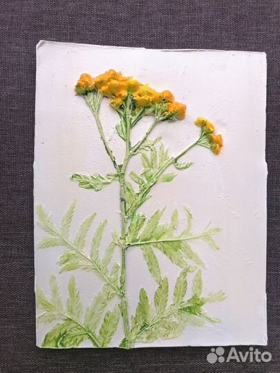 Ботанический барельеф