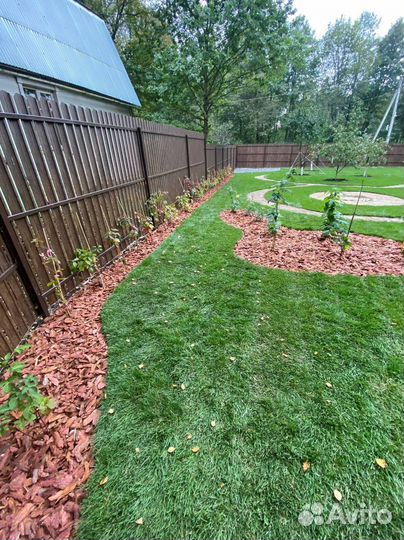 Рулонный газон с укладкой