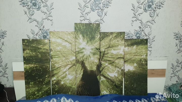 Душа природы