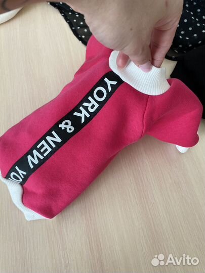 Худи для собак