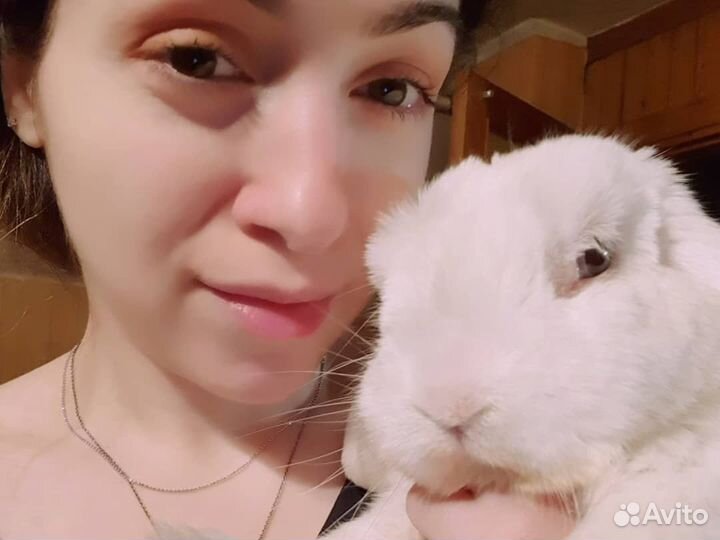 Мини гостиница для кроликов