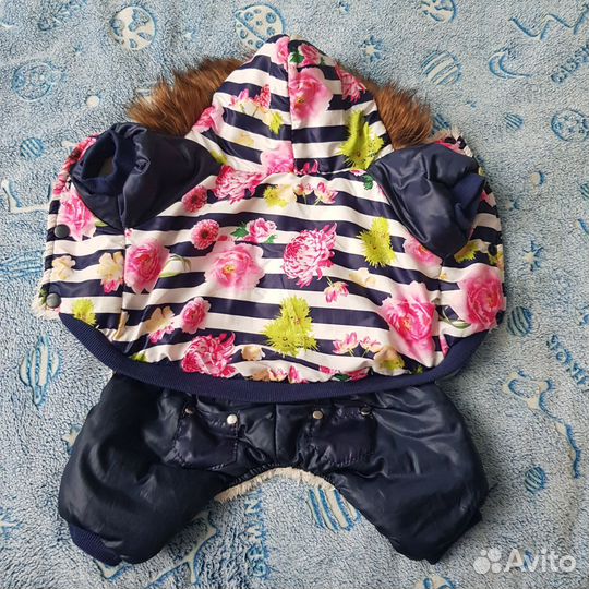 Одежда для собак мелких пород