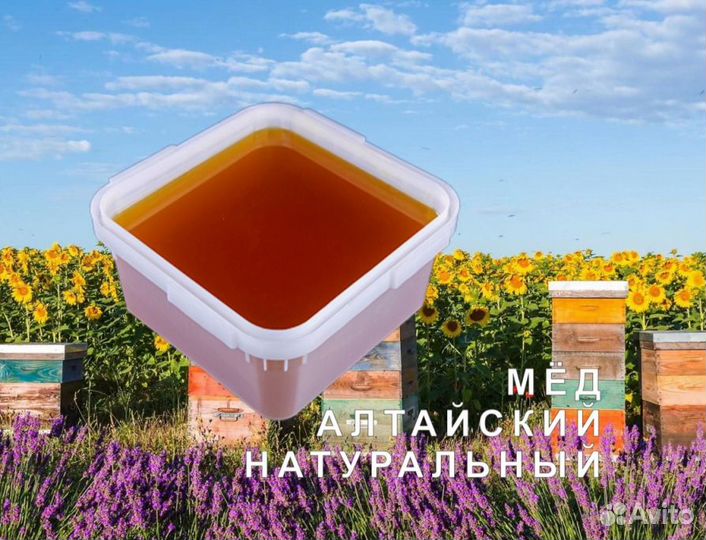 Мёд натуральный из Алтая оптом