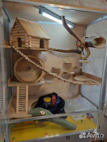 Витрина для грызунов