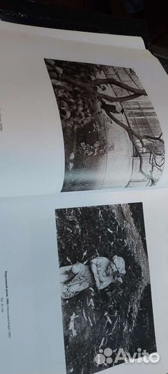 Борис смелов,энциклопедия живописи