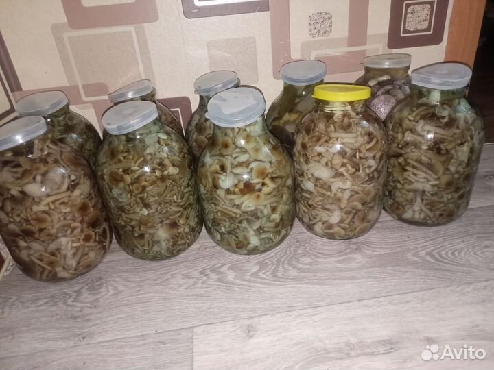 Грибы соленые, маринованные