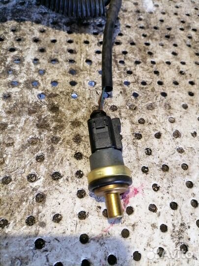 Проводка подкапотная (моторная коса) Volkswagen Po