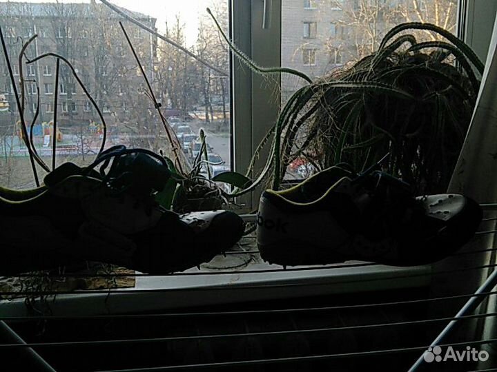 Шиповки метательские Reebok 47р-р. б/у подойдут дл