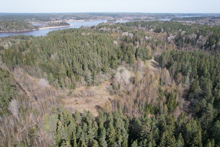 Участок 2,5 га (СНТ, ДНП)