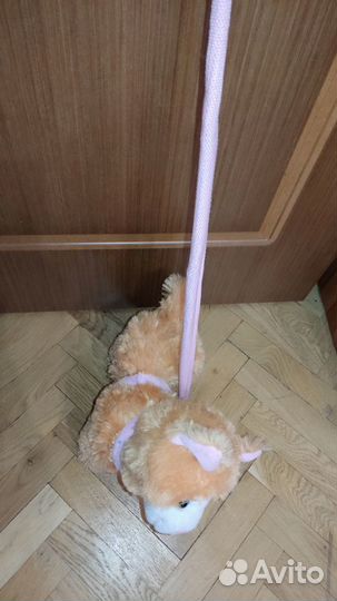 Кошка музыкальная