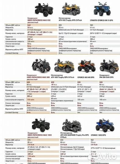 Aodes pathcross MAX 1000 XE sport LCD двухместный
